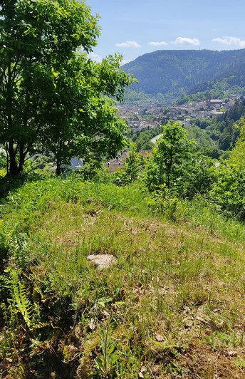 Forbach-Gausbach-Hohlweg am Tennetberg
