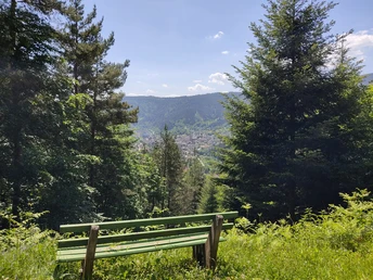 Forbach-Gausbach-Blick vom Tennetberg nach Forbach