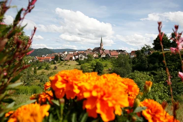 Forbach-Bermersbach - Blick auf das Dorf