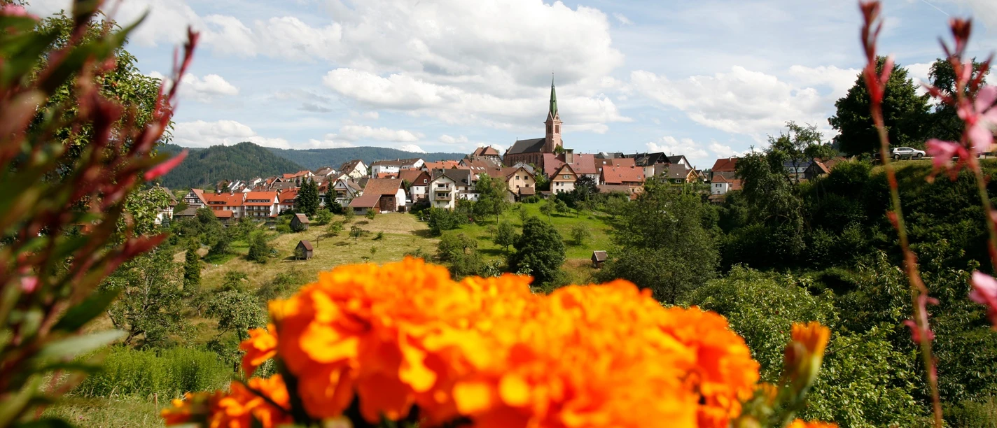 Forbach-Bermersbach - Blick auf das Dorf