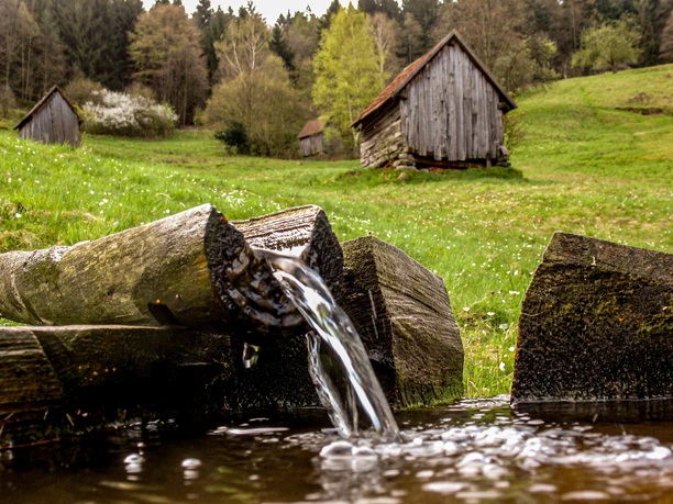 Forbach-Langenbrand-Bei der Vereinsalm