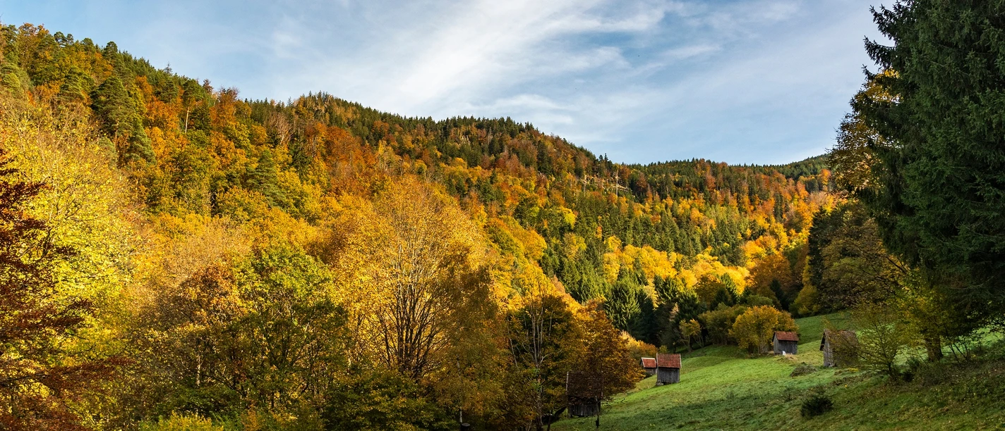 Forbach-Langenbrand-Auf dem Stutzweg
