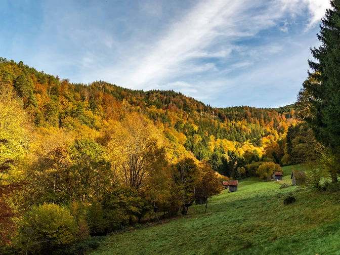 Forbach-Langenbrand-Auf dem Stutzweg