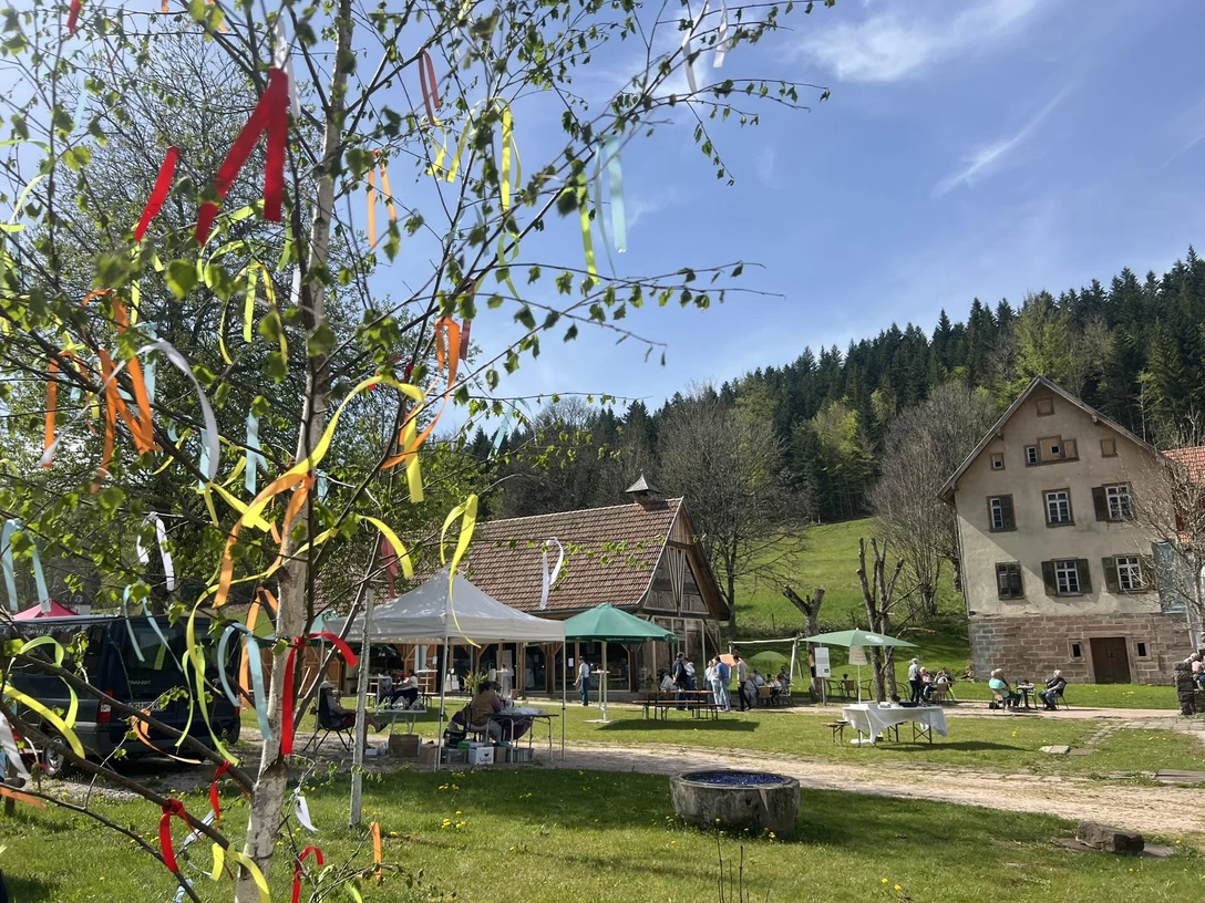 Saisonstart Glashütte Buhlbach