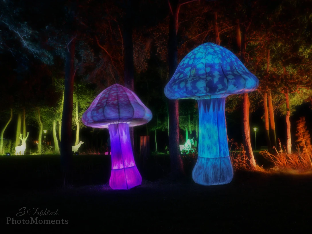 Nordlichter Bremervörde in der Welt der Sinne Nordlichter Bremervörde in der Welt der Sinne