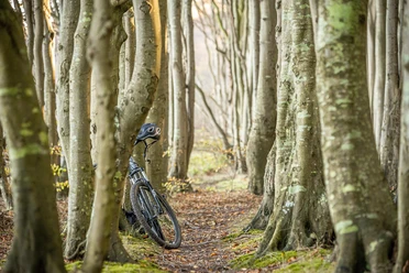 Fahrrad (pixabay, Matthias Kost).jpg