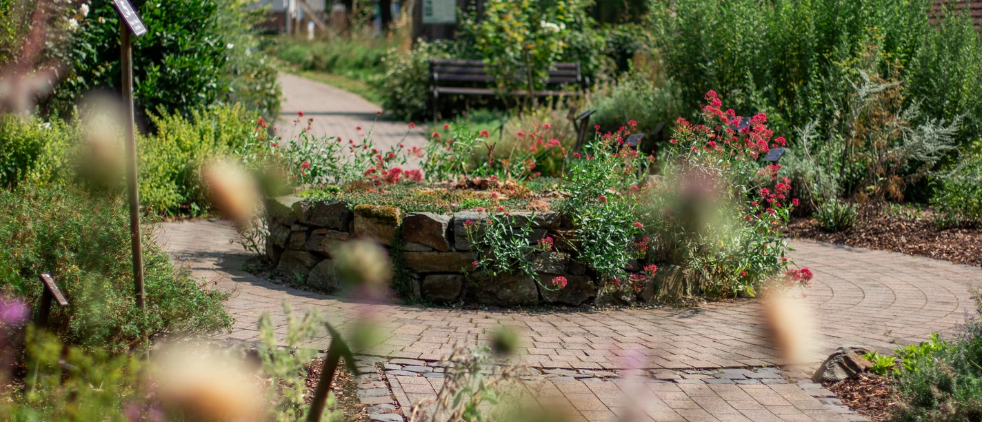 Kneipp Erlebnis und Gesundheitstag