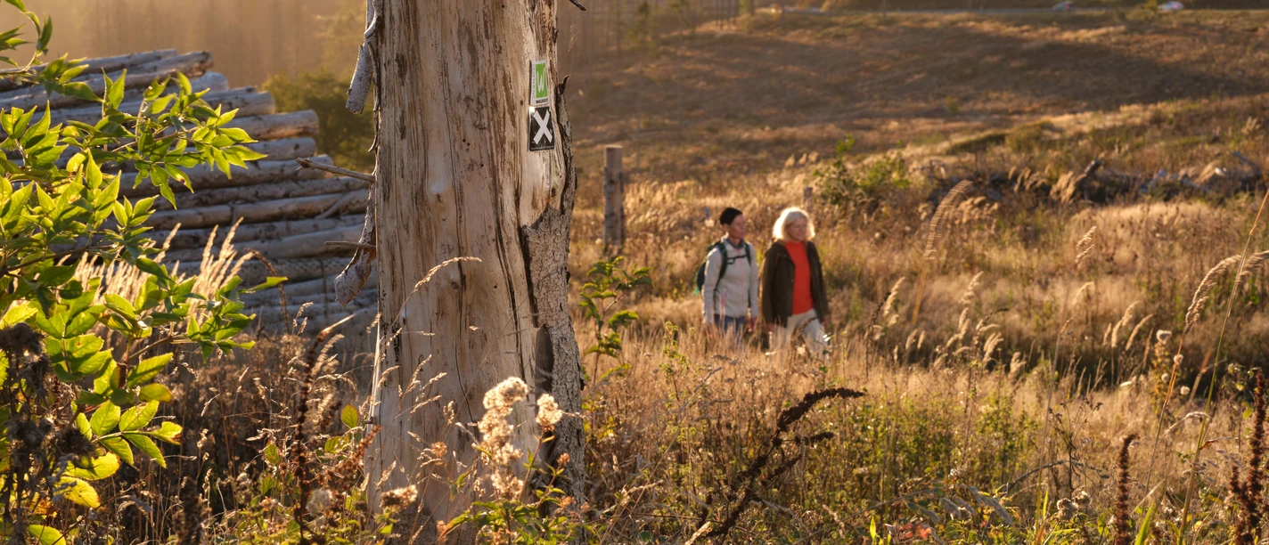 Wanderinnen unterwegs in Herbstlandschaft Wanderinnen unterwegs auf dem Ehmsenweg