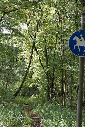 schild-reitpfad-sommer-uhlenhorst-muelheim.jpg