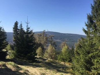 Wanderung zum Altkönig