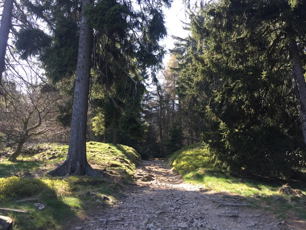 Wanderung zum Altkönig