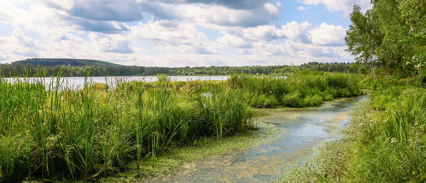 Biotop pixabay (Willfried Wende).jpg