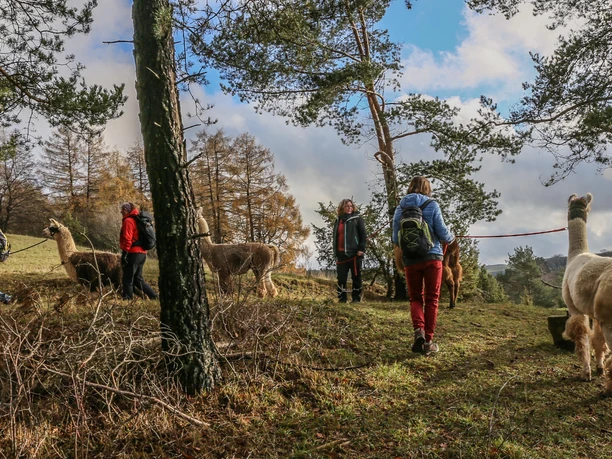 Wanderung 3