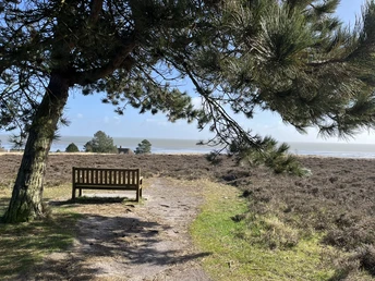 Bank an der Kupferkanne in der Braderuper Heide in Kampen