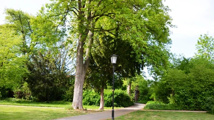 Flachstöckheim_Gutspark (2)_HD_16zu9.JPG Grüner Parkweg mit alten Bäumen, Rasenflächen und einer Laterne im Gutspark Flachstöckheim.