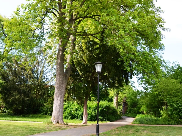 Flachstöckheim_Gutspark (2)_HD_16zu9.JPG Grüner Parkweg mit alten Bäumen, Rasenflächen und einer Laterne im Gutspark Flachstöckheim.