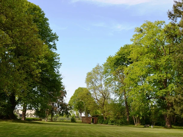Flachstöckheim_Gutspark (4)_HD-16zu9.JPG Weitläufige Rasenfläche im Gutspark Salzgitter-Flachstöckheim, umgeben von alten, grünen Bäumen.