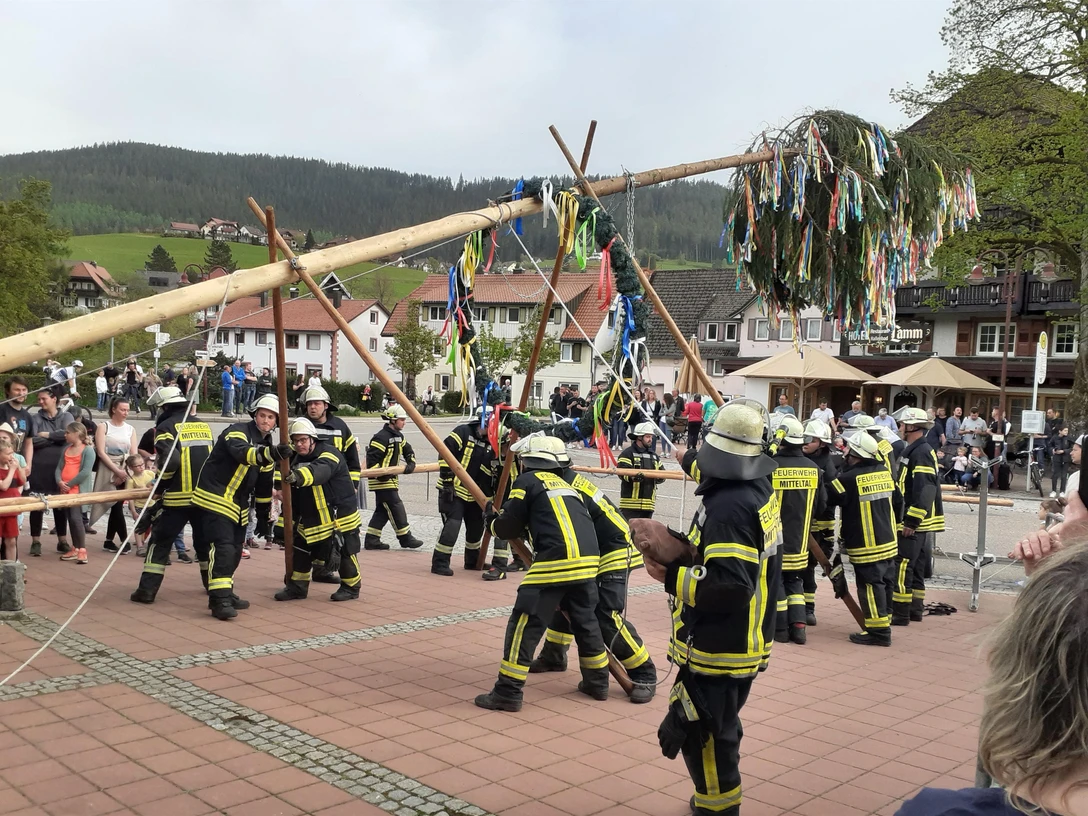 Maibaumaufstellung Mitteltal
