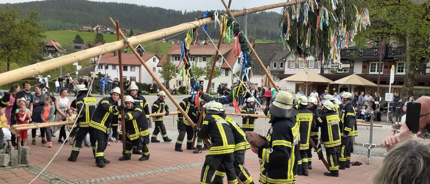 Maibaumaufstellung Mitteltal