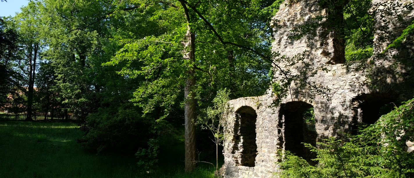 Klosterpark Altzella_Abteiruine_(c)Juliane Schikade_CC BY.JPG Zu sehen ist die Abteiruine im Klosterpark. Es sind Mauerreste, umgeben von Bäumen und Sträuchern.