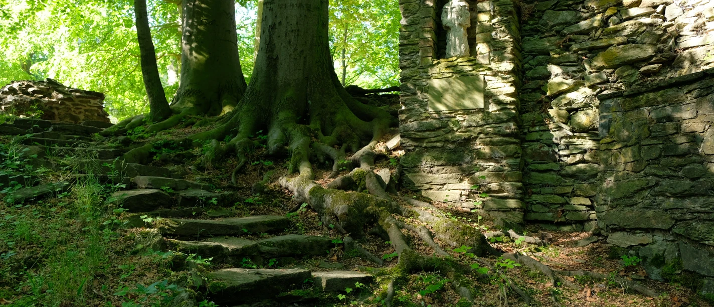 Zu sehen ist eine Treppe im Klosterpark. Sie führt nach oben und ist von Bäumen umgeben.