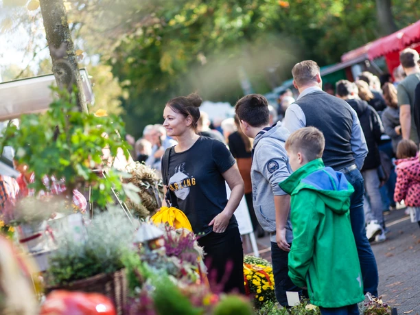 Herbst- und Bauernmarkt_Druck-144.jpg