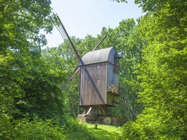 Bockwindmühle24BV001 (c) Torsten Krüger_Erlebnis Bremerhaven_WEB.jpg Bockwindmühle im Gesundheitspark Speckenbüttel Bremerhaven
