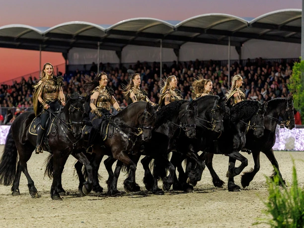 HAGEN a.T.W. - Horses and Dreams meets Netherlands 2025 HAGEN a.T.W. - Horses and Dreams meets Netherlands 2025