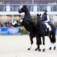 Horses & Dreams meets the Netherlands 2025 Horses & Dreams meets the Netherlands 2025
