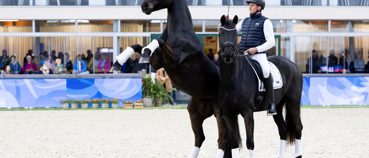 Horses & Dreams meets the Netherlands 2025 Horses & Dreams meets the Netherlands 2025