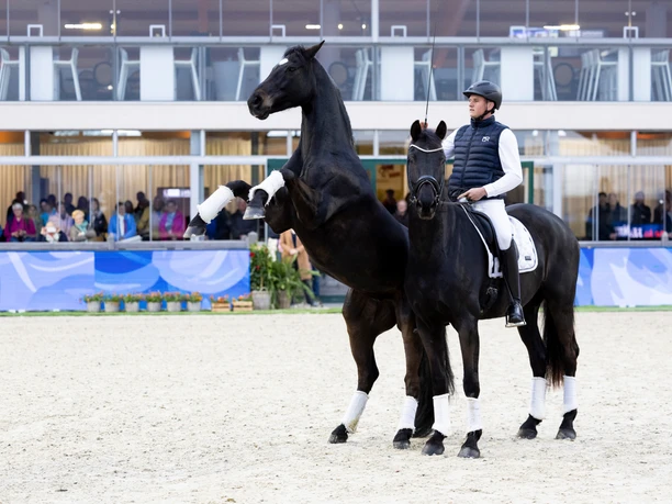 Horses & Dreams meets the Netherlands 2025 Horses & Dreams meets the Netherlands 2025