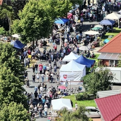 IMG_5461.jpg Menschen schlendern zwischen bunten Ständen auf einem belebten Straßenflohmarkt bei Sonnenschein.