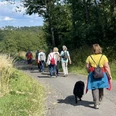 Gesundheitswandern Eine Gruppe Wanderer:innen mit einem Hund auf einem befestigten Weg durch eine grüne Landschaft.