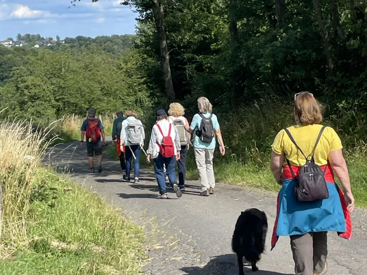 Gesundheitswandern Eine Gruppe Wanderer:innen mit einem Hund auf einem befestigten Weg durch eine grüne Landschaft.