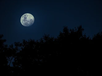 vollmond_pixabay