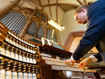Stadtkirche Mittweida - Orgel