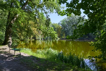 Schloss und Volkspark Großböhla Idyllischer Teich im Volkspark Großböhla, umgeben von saftig grünen Bäumen und ruhiger Natur.