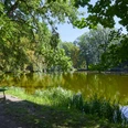 Schloss und Volkspark Großböhla Idyllischer Teich im Volkspark Großböhla, umgeben von saftig grünen Bäumen und ruhiger Natur.