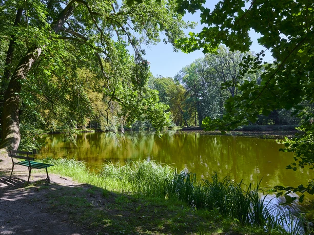 Zamek i park publiczny Großböhla Idylliczny staw w Volkspark Großböhla, otoczony bujnymi zielonymi drzewami i spokojną przyrodą.