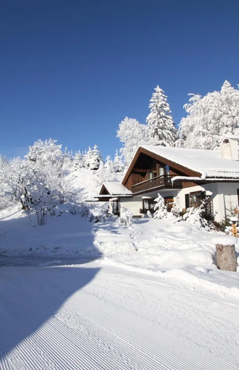 Bräuwies 7 (18) - Kopie