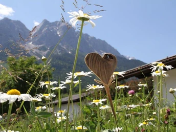 bayern_resort_hotel_arnika_ferienwohnung_extern_au