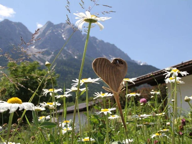 bayern_resort_hotel_arnika_ferienwohnung_extern_au