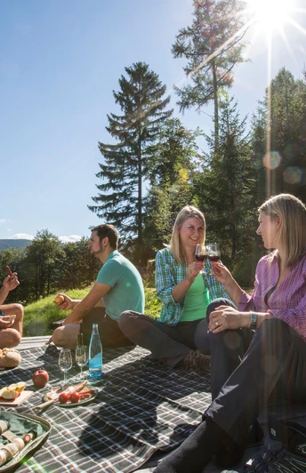 Picknick am Genussplatz am Blockhaushof