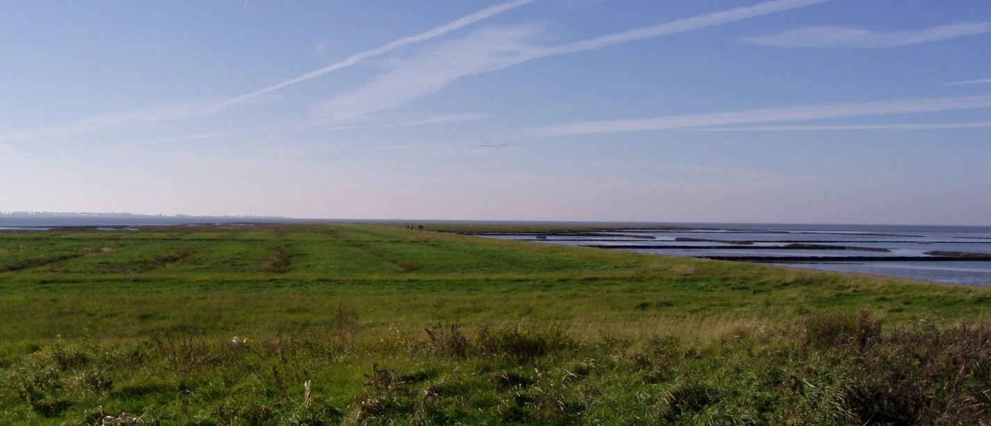 P1010015.JPG Helmsand