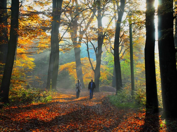 MQK-Börstel im Herbst2, Bildnachweis Alexandra Lüders.jpg