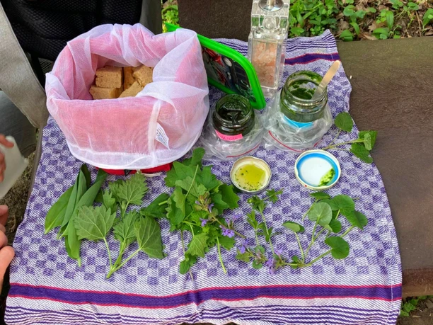 Kräuterspaziergang – 3 Stunden Auszeit im Grünen Frisch gesammelte Kräuter, dazu Brot und selbstgemachte Aufstriche auf einem Tuch im Grünen.