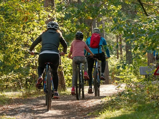 bicycles-5661632_640