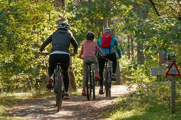 bicycles-5661632_640