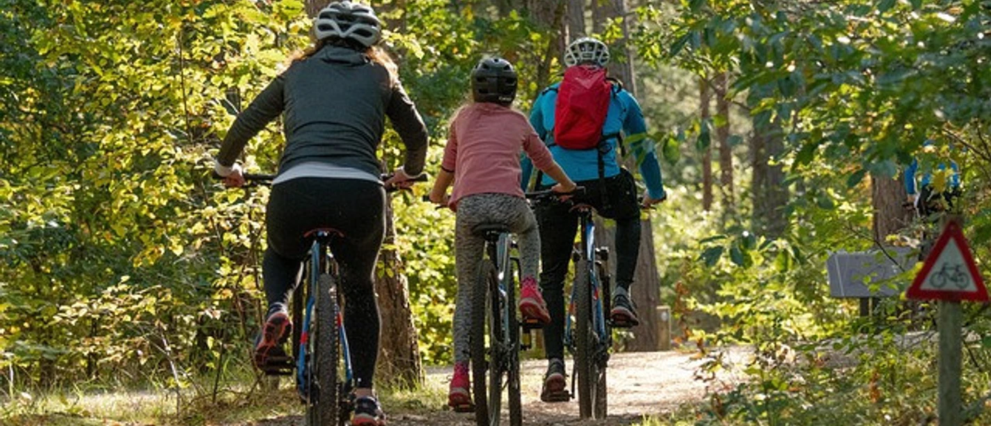 bicycles-5661632_640