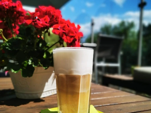 Hotel am Herkules - Terrasse